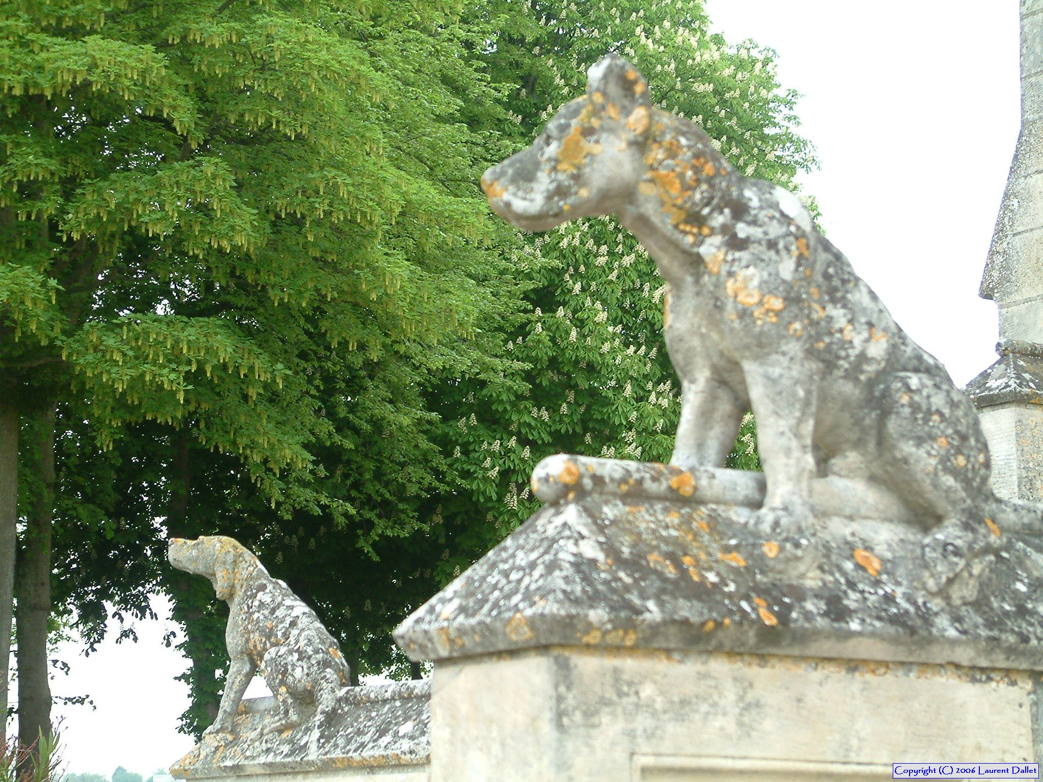 Loire 029